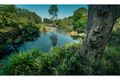 Property photo of 421 Summervilles Road Thora NSW 2454