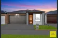 Property photo of 53 Rivella Circuit Tarneit VIC 3029