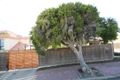 Property photo of 1 Gulf Parade South Brighton SA 5048