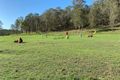 Property photo of 3226 Great North Road Wollombi NSW 2325