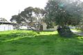 Property photo of 37 Fourth Street Nuriootpa SA 5355