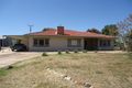 Property photo of 11072 Augusta Highway Warnertown SA 5540