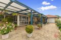 Property photo of 8 Newberry Avenue Morphettville SA 5043