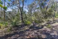Property photo of 40 Explorers Road Katoomba NSW 2780