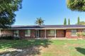 Property photo of 116 Dalkeith Avenue Lake Albert NSW 2650