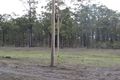 Property photo of 334 Bostons Road Bucca QLD 4670