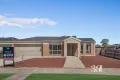 Property photo of 19 Bridlepath Drive Truganina VIC 3029