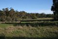 Property photo of 149 Blakney Creek Road South Bango NSW 2582