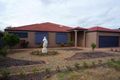 Property photo of 3 Breezeway Court Kuraby QLD 4112