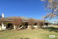 Property photo of 258 Howlong-Burrumbuttock Road Howlong NSW 2643