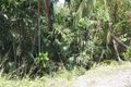 Property photo of 34 Old Bridge Road Long Pocket QLD 4850
