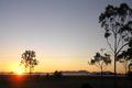 Property photo of 202 Nicholson Road Alton Downs QLD 4702