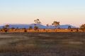 Property photo of 202 Nicholson Road Alton Downs QLD 4702