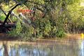 Property photo of 202 Nicholson Road Alton Downs QLD 4702