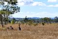 Property photo of 202 Nicholson Road Alton Downs QLD 4702