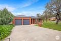 Property photo of 14 Grevillea Avenue Kangaroo Flat VIC 3555