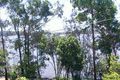Property photo of 90 Broadwater Esplanade Bilambil Heights NSW 2486