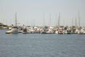 Property photo of 22 Veneto Lane Mandurah WA 6210