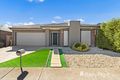Property photo of 38 Triandra Drive Brookfield VIC 3338