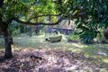Property photo of 31 Christensen Street Machans Beach QLD 4878