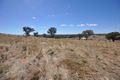 Property photo of 70 Butterbush Road Gregadoo NSW 2650