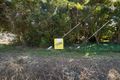 Property photo of 2571 Shute Harbour Road Jubilee Pocket QLD 4802