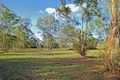 Property photo of 602-610 Camp Cable Road Logan Village QLD 4207
