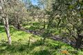 Property photo of 24 Old Carrowbrook Road Mount Olive NSW 2330