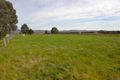 Property photo of 1483 Warby Range Road Wangandary VIC 3678