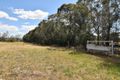 Property photo of 3228 New England Highway Scone NSW 2337