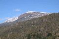 Property photo of 32A Brushy Creek Road Lenah Valley TAS 7008