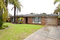 Property photo of 23 Peppermint Crescent Ballajura WA 6066
