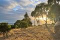 Property photo of 55-57 Sanctuary Drive Boston SA 5607