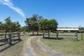 Property photo of 21 Zietsch Close Warragai Creek NSW 2460