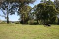 Property photo of 164 Trowutta Road Smithton TAS 7330