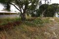 Property photo of 19 Warlock Road Bayonet Head WA 6330