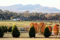 Property photo of 119 Himalaya Drive Table Top NSW 2640