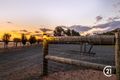 Property photo of 117 Tandarra Road Moama NSW 2731