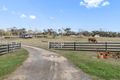 Property photo of 441 Sandy Points Road Bridport TAS 7262