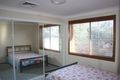 Property photo of 49 Woodlawn Drive Budgewoi NSW 2262