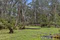 Property photo of 125 Tolmie-Mahaikah Road Tolmie VIC 3723