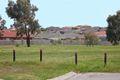 Property photo of 12 Insignia Crescent Berwick VIC 3806