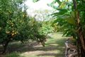 Property photo of 6 Horan Street Mareeba QLD 4880