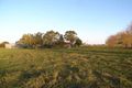 Property photo of 175 Knights Road Congupna VIC 3633