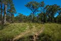 Property photo of 589 Patrick Road Dunedoo NSW 2844
