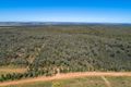 Property photo of 589 Patrick Road Dunedoo NSW 2844
