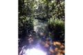 Property photo of 114 Webster Road Wondecla QLD 4887