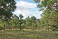 Property photo of 36 Skybolt Road Valdora QLD 4561