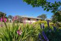 Property photo of 125 Church Street Coleraine VIC 3315