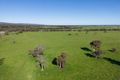 Property photo of 126 Elliott Road Keysbrook WA 6126